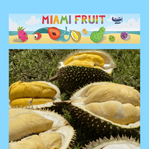 New Durian Varieties Available! 👑