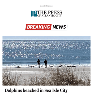 Dolphins beached in Sea Isle City