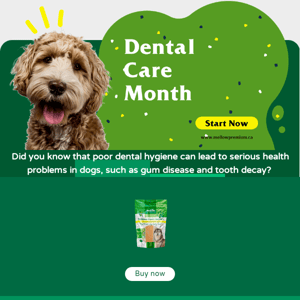 Celebrate Dog Dental Care Month with Mellow Premium Yak Chews and Dental Sticks!