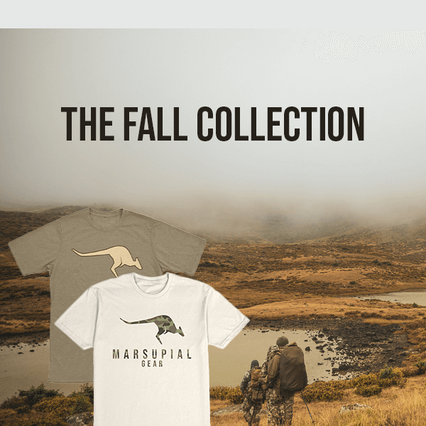 New Fall collection is here!