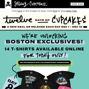 Day 8 - 14 Boston Exclusive Tees Now Online for 24 hours