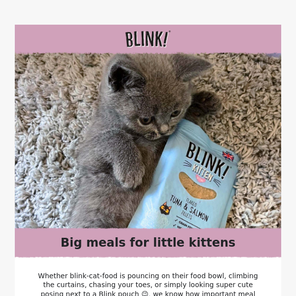 Big meals for little kittens