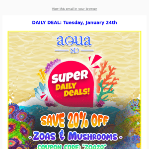 AQUASD Daily Special. SAVE 20% OFF Zoas & Mushrooms. Coupon Inside!