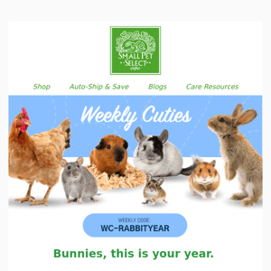Weekly Cuties - Year of the Rabbit 🐇