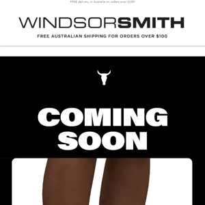 YOU. PRE ORDER. NOW 🔥 #Scary #ComingSoon #WindsorSmith