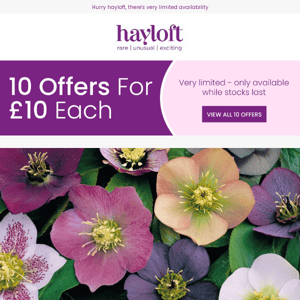 10 NEW Offers For £10 Each