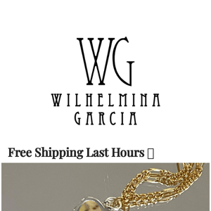 FREE SHIPPING LAST HOURS