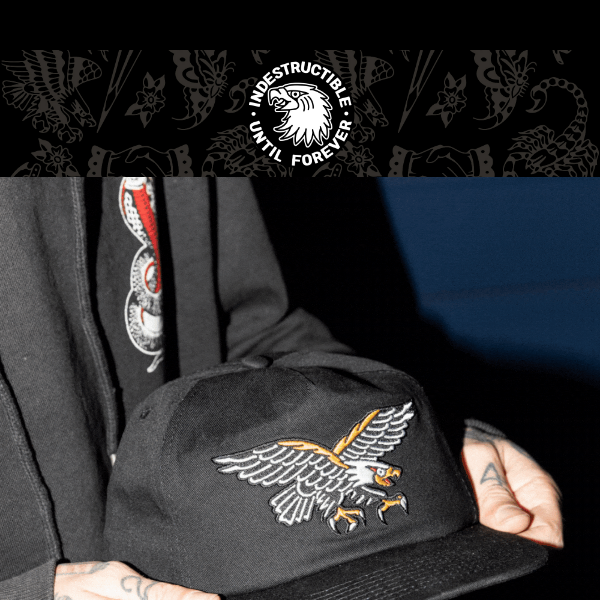 The Navigator Snapback Is Out Now