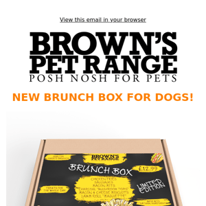 Limited Edition Brunch Box for dogs!