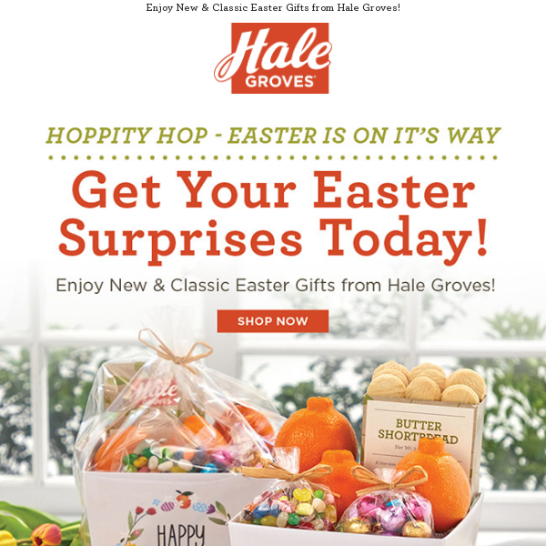 🍊 Hoppity Hop - Easter Is on it's Way - Get Your Easter Surprises Today! 🐝