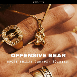 RE: Offensive Bear 🧸🖕