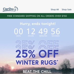 Ends Tonight | 25% off Winter Rugs*