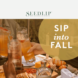 Sip into Fall 🍂