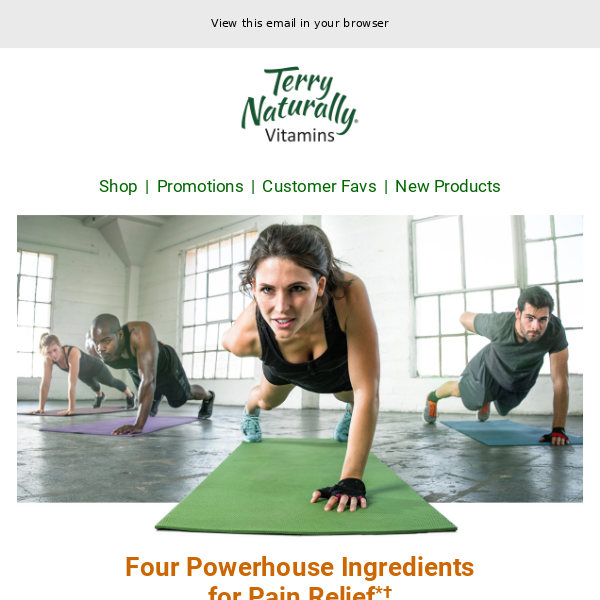 Four Powerhouse Ingredients for Pain Relief*†