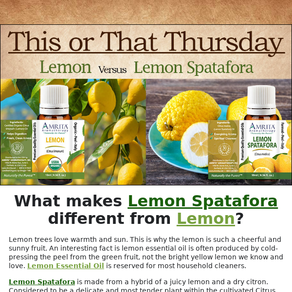 Which is Better? Lemon or Lemon Spatafora