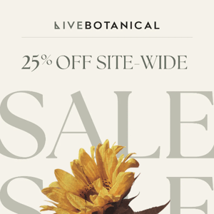 Sitewide Sale ✨ 25% off entire shop & new seasonal offerings