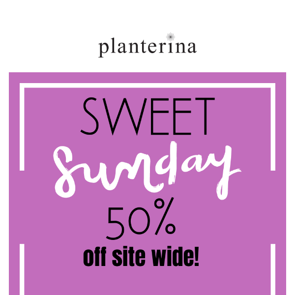 Sweet SUNDAY! 😋 Site wide sale.