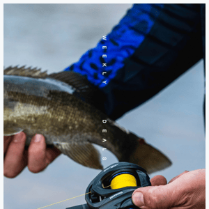 The Best for Last: Up To 50% off Fishing Gears