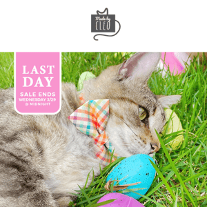 Hop to it...sale ends TODAY 🐰 25% OFF Easter Collection (Pet Collars & Accessories) — Promo Code: HOPPY25