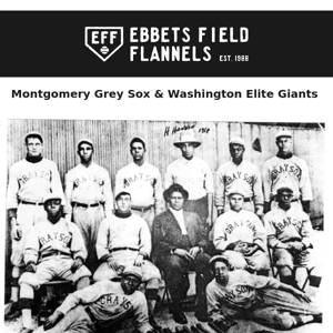 Negro Southern League and Negro National League Members