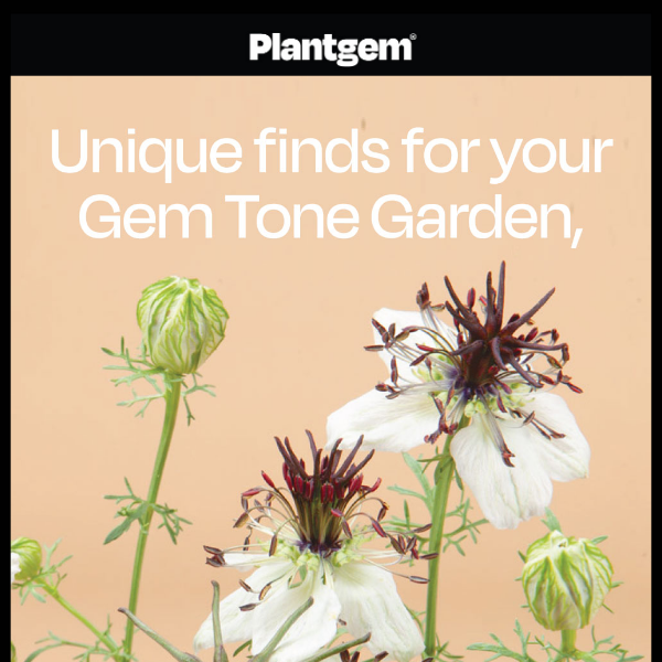 Year of the Gem Tone Garden 💎
