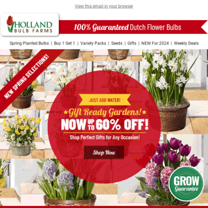 WEEKEND SALE ⏰ 60% OFF NEW Bulb Gardens!