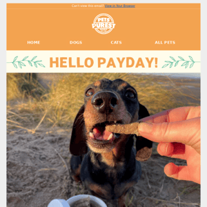 Treat Your Pet This Payday🧡