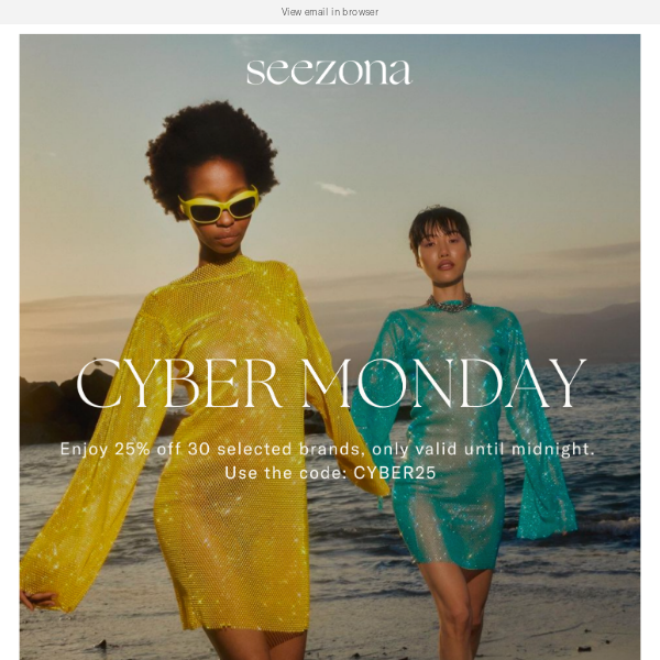 25% off today - Cyber Monday!