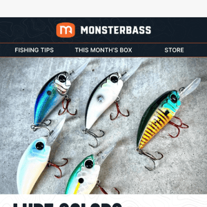 Lure Colors and Bass Behavior