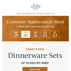 Dinnerware Sets Up To 65% Off