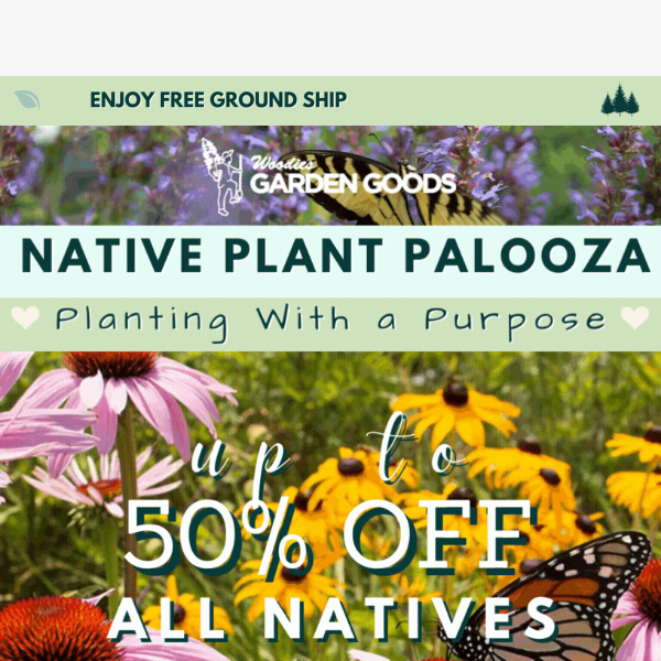 Up To 50% OFF ALL NATIVE PLANTS!🌿