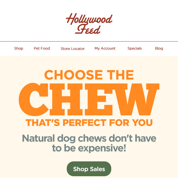 Choose the Chew That's Perfect For You! 😍🐶