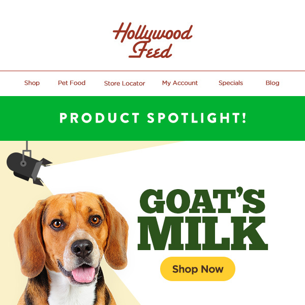 Product Spotlight on ✨ Goat's Milk! ✨