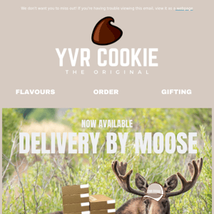 📦MOOSE DELIVERY now AVAILABLE! 📦