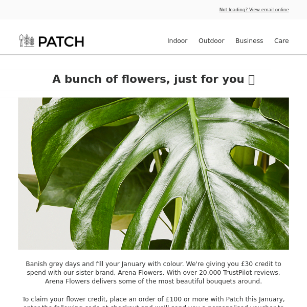 Buy plants, get flowers 💐