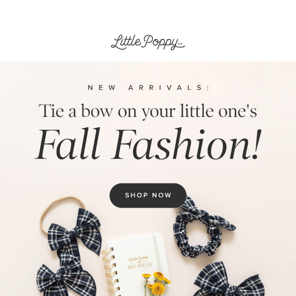 Psst — new bows are here! 👀