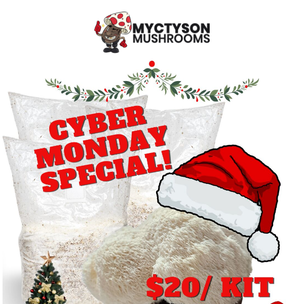 Cyber Monday $20 Lion's Mane Special