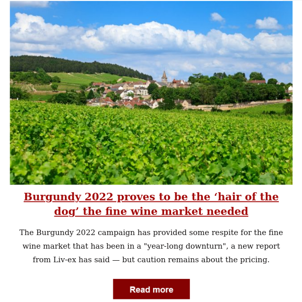 Fine wine update: Burgundy 2022 proves to be the 'hair of the dog' the fine wine market needed