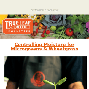 Microgreens & It's Moisture Level 💧 | TLM Newsletter