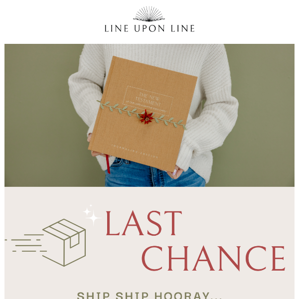 📦 Last Chance: FREE U.S. SHIPPING