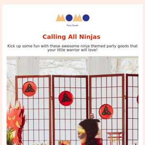 Ninja Party Ideas🥷