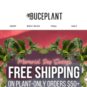 FREE Memorial Day Shipping 🥳🌱 Plant orders over $50!