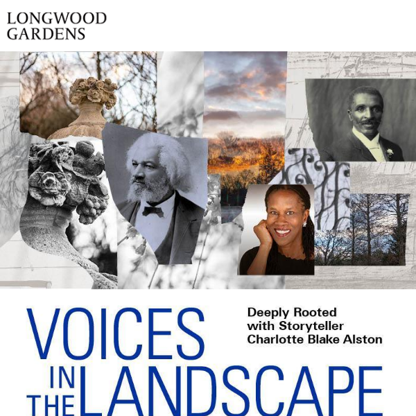 On View Now: Voices in the Landscape: Deeply Rooted with Charlotte Blake Alston