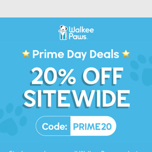 It's Prime Time: 20% OFF SITEWIDE!