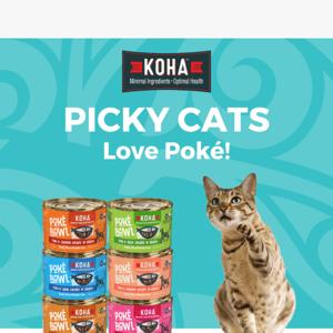 20% Off Tuna Poké Bowl Cans for Cats