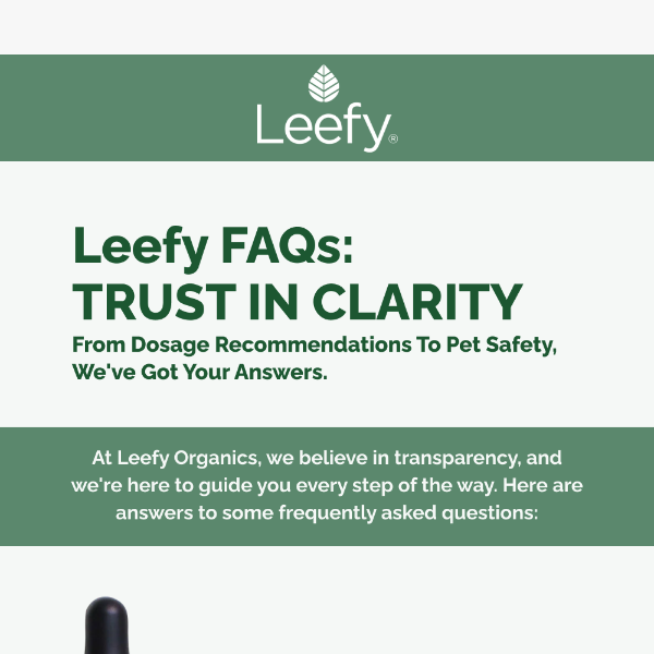 Your Top Questions About Leefy Products, Answered 🌿