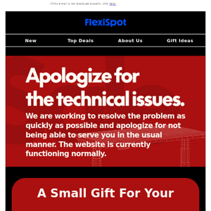 FlexiSpot| Apology: Regarding Website Downtime