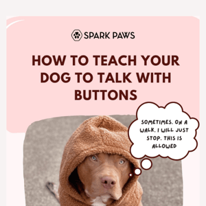 How to teach your dog to talk! (with buttons)