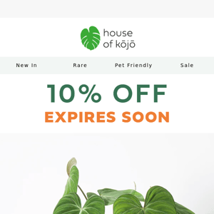 Your discount code is about to expire 🌱