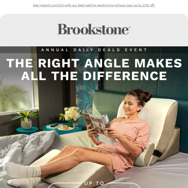 Need More Support Brookstone